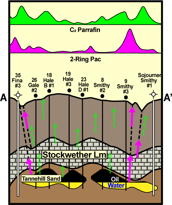 Navigator Cross Section